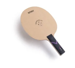 BalsaCarbo X5 22 Battræ Butterfly