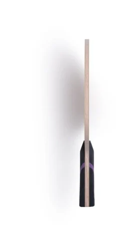 BalsaCarbo X5 22 Battræ Butterfly